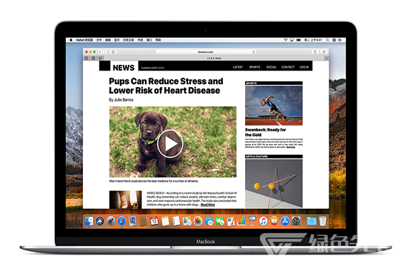 safari浏览器下载安装Mac版