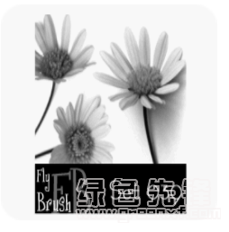 菊苣花朵鲜花图案PS笔刷(菊苣花朵笔刷素材)V1.0 最新版2