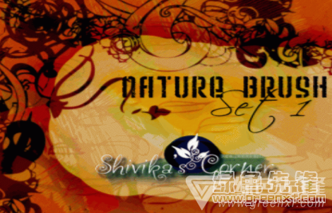 手绘混乱艺术植物印花PS笔刷(艺术植物印花笔刷素材)V1.0 绿色版2