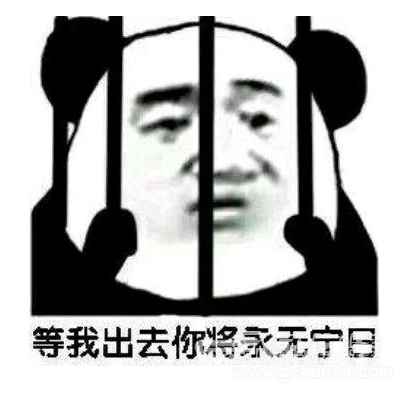 熊猫在监狱傻笑表情包v1.0 绿色版