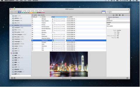 MDB文件查看器 MDB Explorer for mac V2.4.4 免费版 
