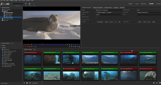 CatDV Pro for mac