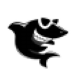 黑鲨U盘启动盘制作工具(U盘启动盘制作软件)V11.5.47.1531 绿色版