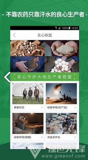 春播