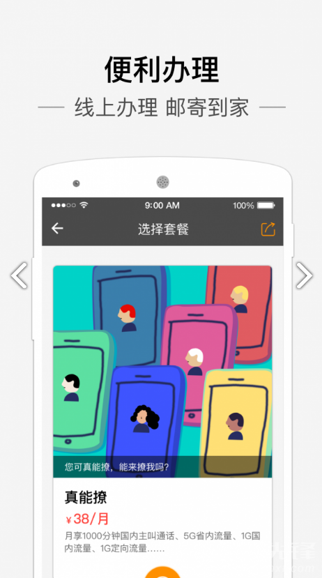 小金豆