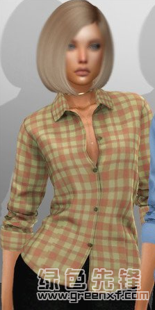 模拟人生4女性的简约衬衫MOD(模拟人生4简约衬衫补丁)V1.0 绿色版2