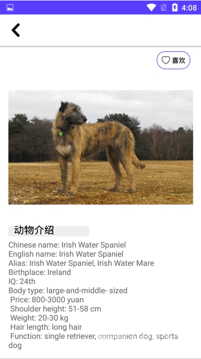 狗狗图鉴