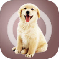 人狗交流器(宠物默契沟通)V1.1.8 安卓正式版