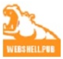 河马WEBSHELL扫描器(安全挖矿防护助手)V1.4.1 绿色版
