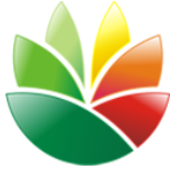 EximiousSoft Logo Designer Portable(logo生成器)V3.91 绿色免费版