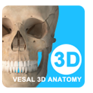 维萨里3D解剖(维萨里3d解剖激活码)V4.1.2 安卓免费版