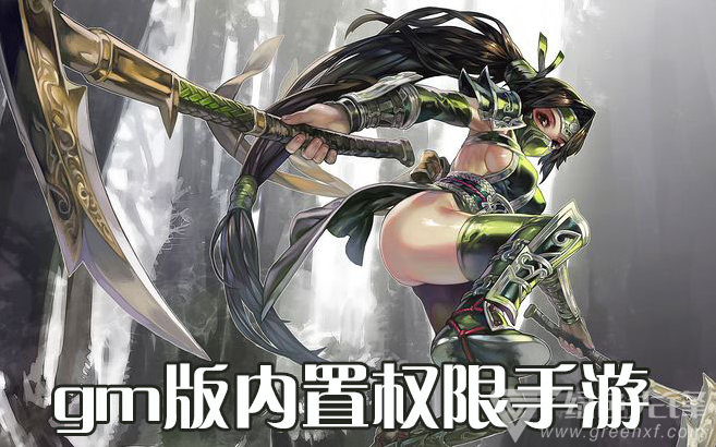 gm版内置权限手游