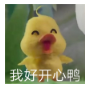 最近很火的微信鸭鸭表情包大全(微信鸭鸭表情图片)V1.0 绿色版