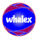 whalex API(桌面留言板管理工具)V1.1 正式版