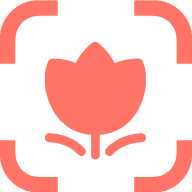 植物识花神器(一拍识别工具)V1.0.2 安卓最新版
