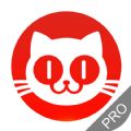 猫眼票房分析(实时票房查询)V9.10.1 安卓最新版