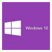 Windows10繁体中文语言包(Win10系统语言工具)V1.0 免费版