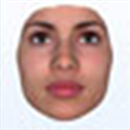 FaceGen Artist Pro(3d人脸模型制作软件)V2021 