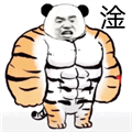 老虎熊猫头表情包(老虎熊猫头表情合集) V2021 免安装版