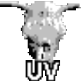 UVLayout V2 Pro(uv拆分软件)V2.11 绿色版