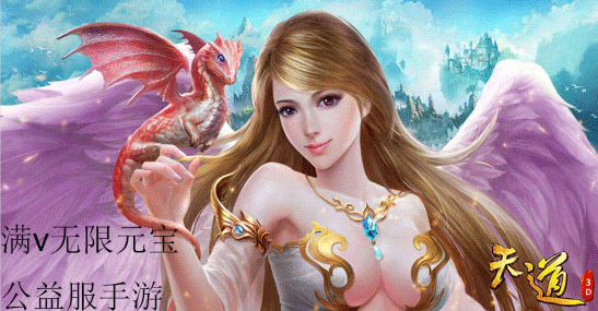 满v无限元宝公益服