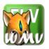 Bluefox FLV to WMV Converter(FLV视频转WMV格式工具)V3.02 免费版