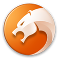 猎豹浏览器强制雅黑字体插件(强制雅黑字体插件)V1.1 免安装版
