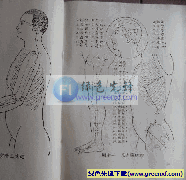 《人体十四经脉图》doc格式