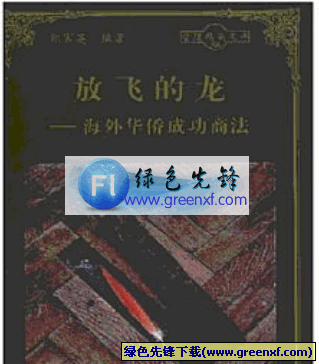 一种急情和力量《放飞的龙—海外华侨成功商法》pdf格式