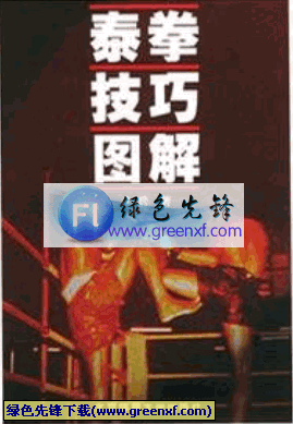 凶狠、惊险、神奇的搏击术《泰拳技巧图解》PDF格式