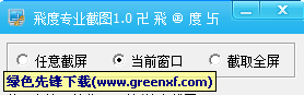 飞度专业截图工具[便捷版]V1.01 绿色版