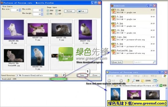 集图工具V1.6.3免费版_解决如何批量保存网页中图片