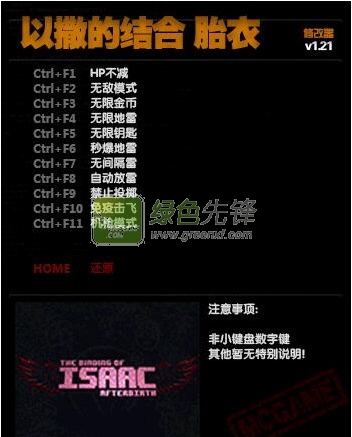 以撒的结合胎衣修改器(以撒的结合胎衣十一项属性修改器) 绿色免费版