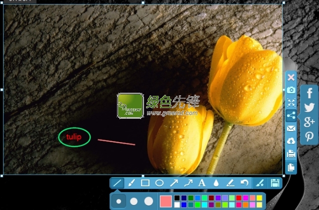 Apowersoft Screen Capture Pro(屏幕截图编辑)V5.5.0 特别版