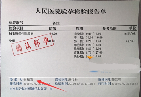 易简约验孕报告恶搞器(验孕报告恶搞工具)V1.1 最新版