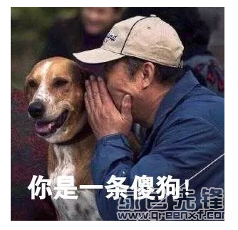 抖音套路你是一条傻狗表情包v1.0 最新版