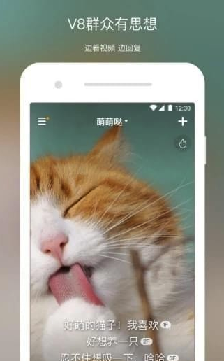 V8实拍(v8实拍版)