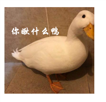 王思聪买鸭子表情包下载(鸭子表情包)