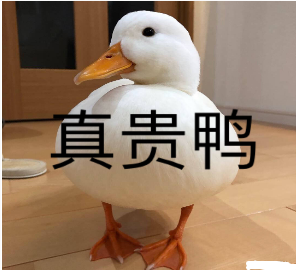王思聪买鸭子表情包下载(鸭子表情包)