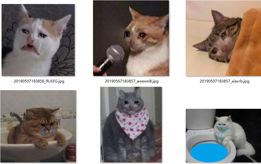 委屈流泪猫咪表情包下载(委屈哭泣猫咪表情包)
