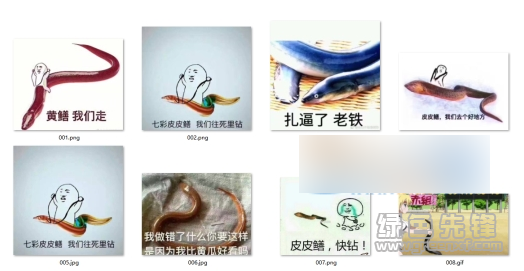 皮皮鳝我们走表情包(黄鳝我们走表情包)