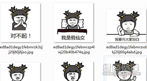 其实我整容了表情包v2017完整版