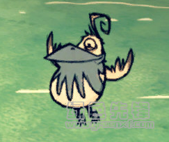 饥荒海滩冰火鹈鹕MOD(饥荒鹈鹕代码)V2017 免费版1