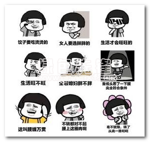 只有女生胖生活才会旺表情包汉化最新版