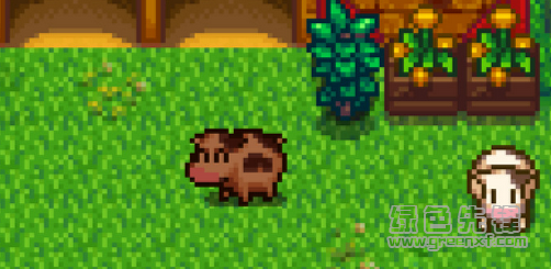 星露谷物语棕色胖胖的牛MOD(星露谷物语棕色胖胖的牛补丁)V1.0 中文版1