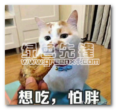 想吃怕胖猫表情包(想吃怕胖猫图片表情) 免费版