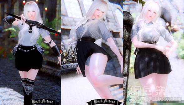 上古卷轴5白发重甲师少女阿琳独立随从MOD(上古卷轴5增加新随从)V1.1 1