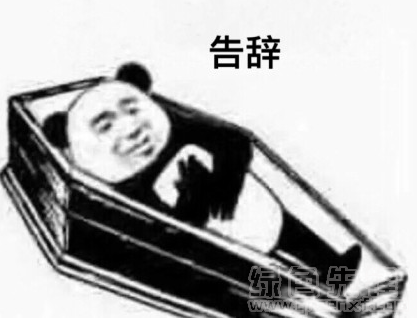 熊猫头睡棺材系列表情高清版