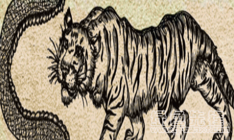 矢量老虎眼镜蛇混合元素PS笔刷(老虎眼镜蛇混合笔刷工具)V1.0 免费版1