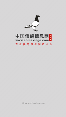 中国信鸽信息网手机版下载V1.01 免费版